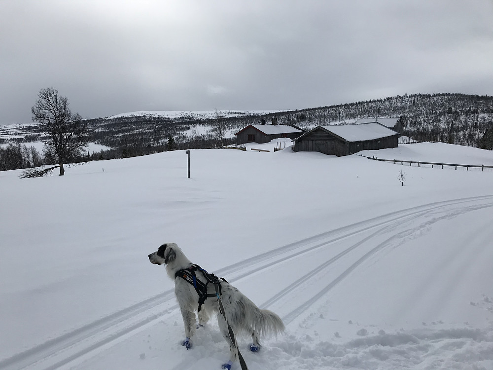 Kvisbergsetra