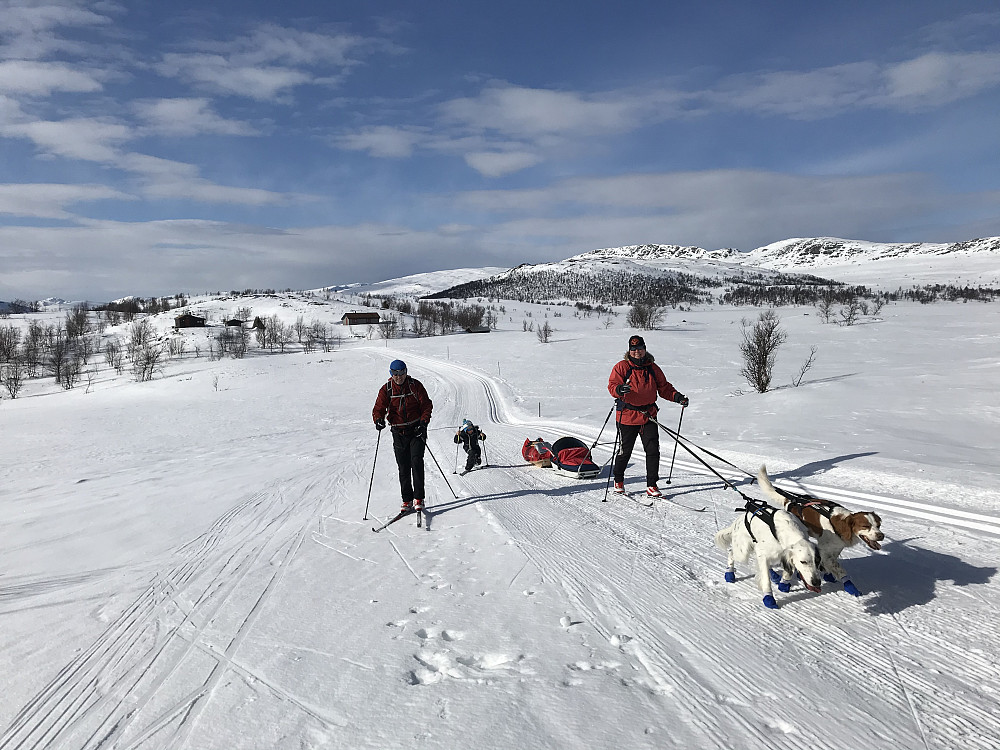 På tur tilbake fra Leppe