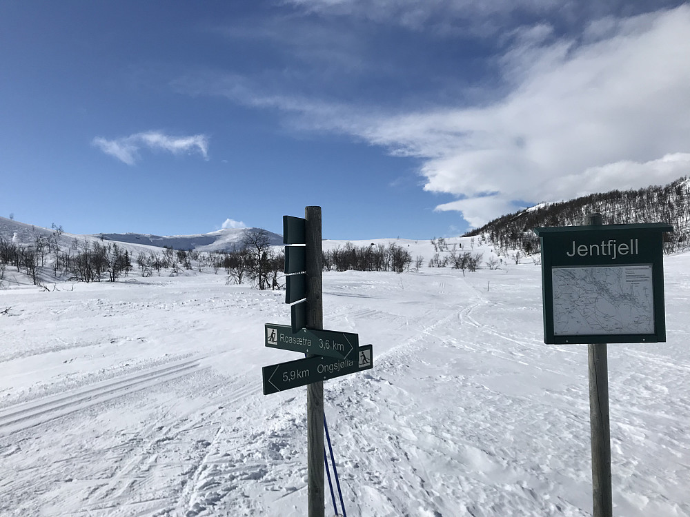 Jentfjell-krysset
