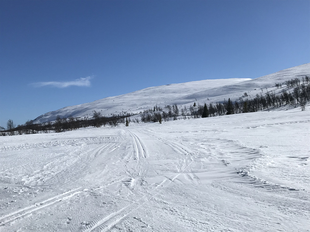 Tilbakeblikk mot Ongsjøfjellet