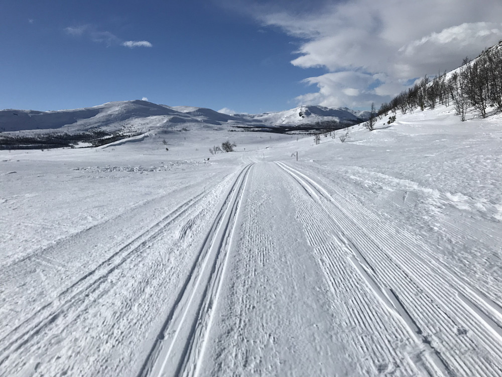 På "toppen", mot fjellene vest for Espedalen. 