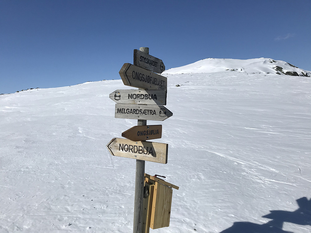 Leppskardet