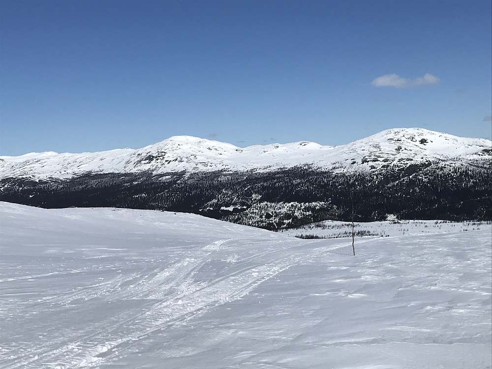 Gråhøer fra Leppskardet