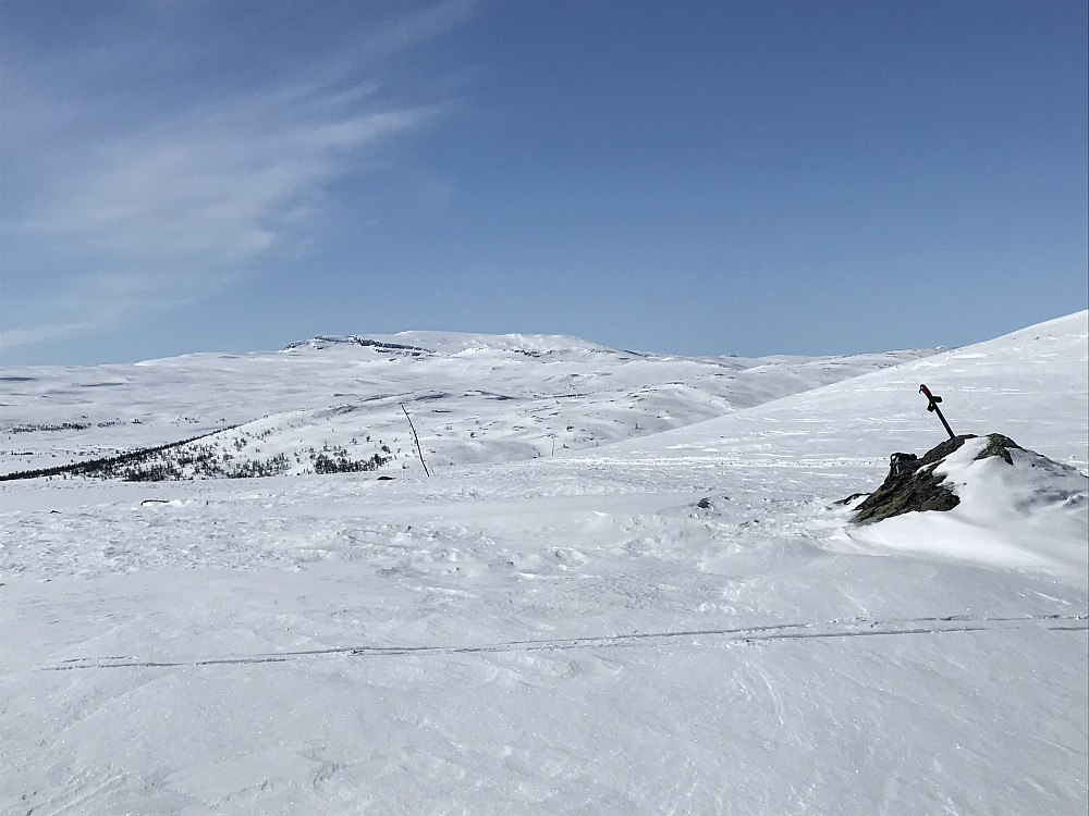 Nordre Langsua fra Leppskardet