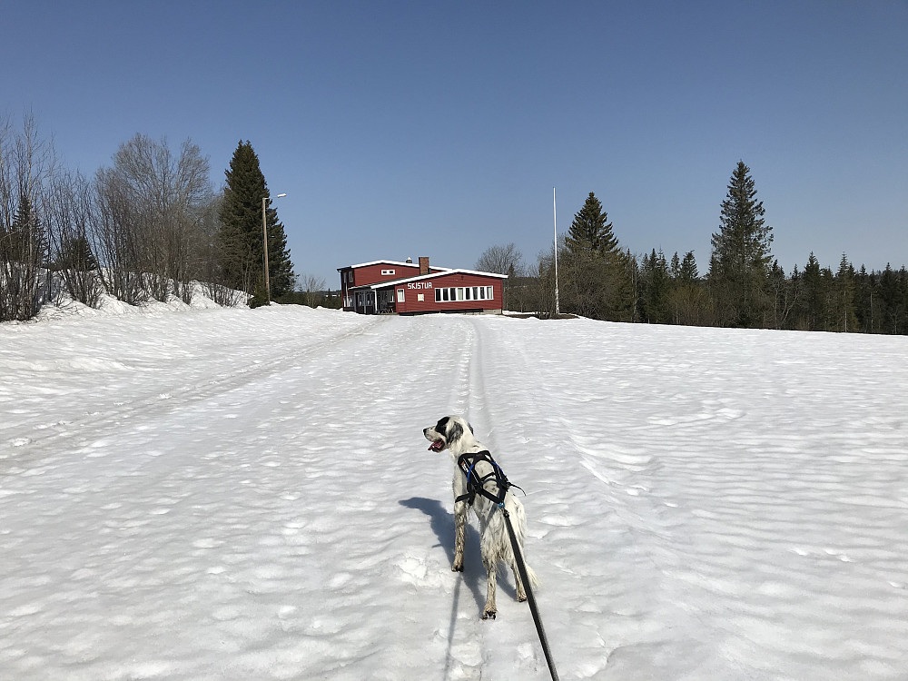 Skistua