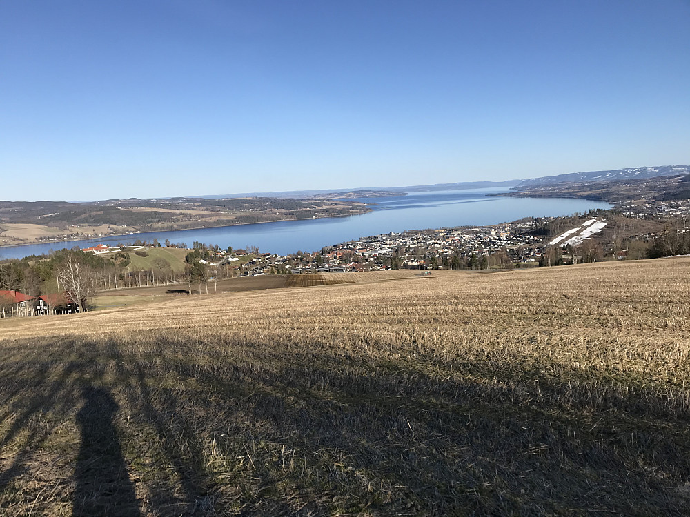 Våronna er i gang på Bergsjordet