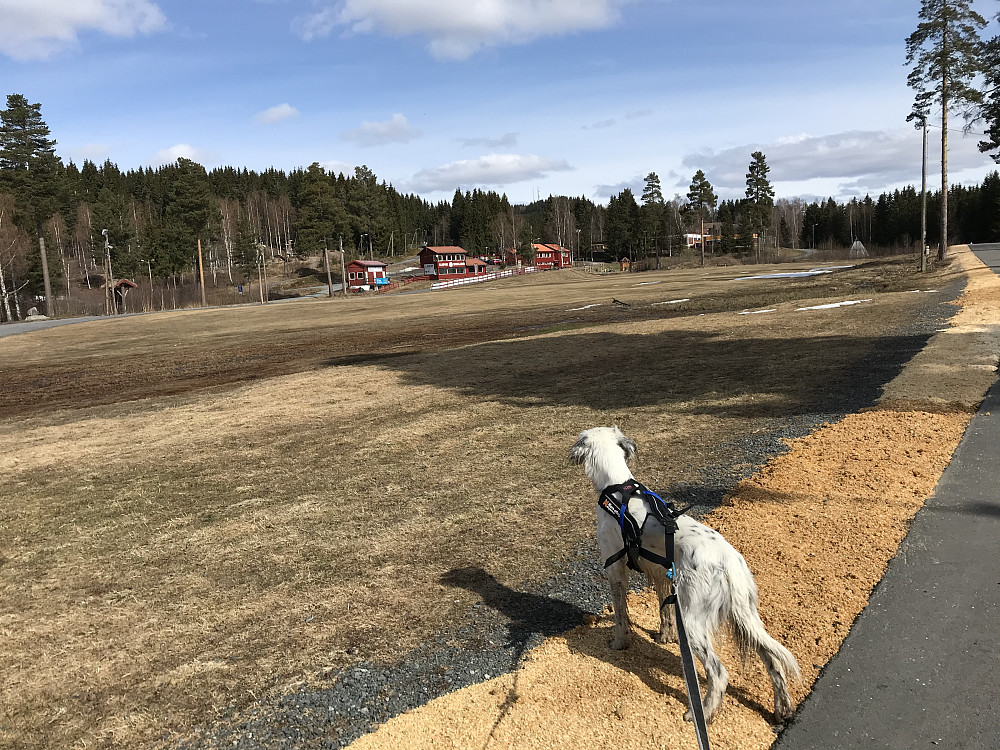 Skistadion på Øverby