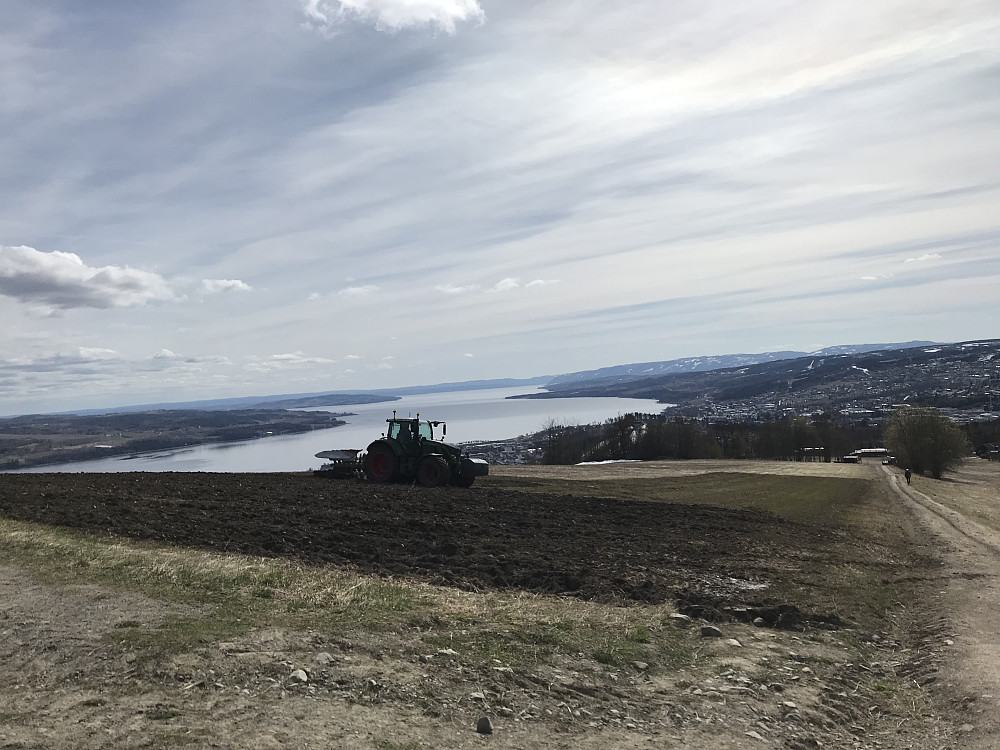 Våronn på  Bergsjordet. Mye gjort siden i går.