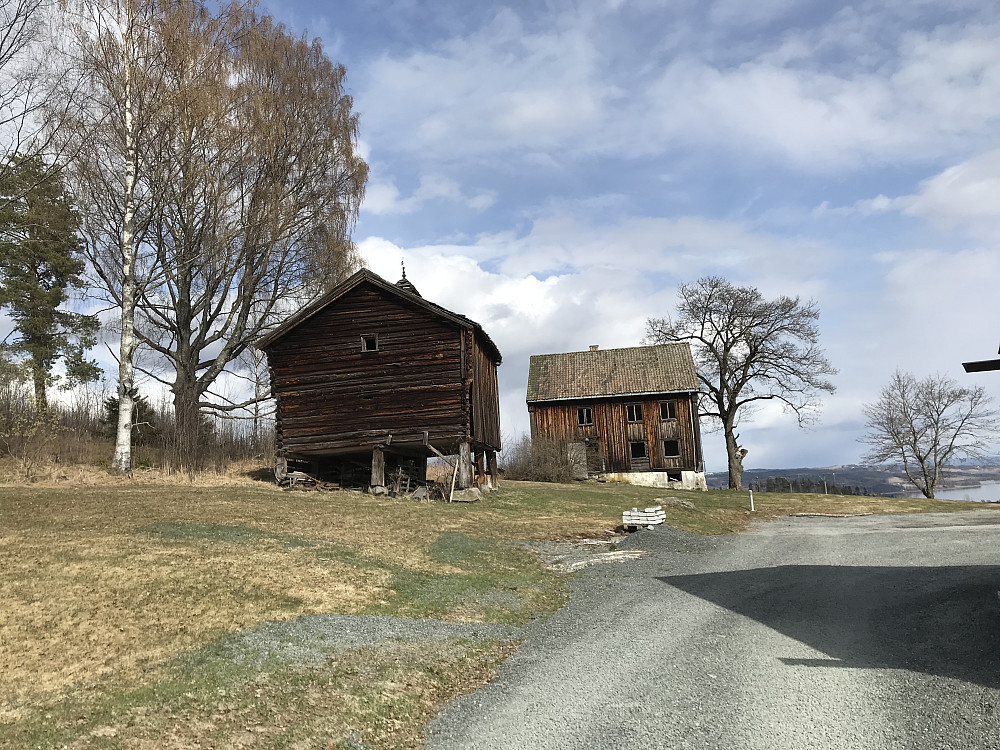 Ås