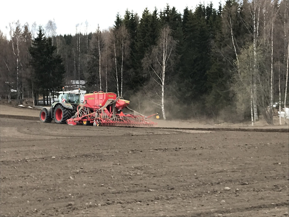 Kjøres både med såmaskin og rulle på Bergsjordet i dag. Blir nok ferdig med våronna før nedbøren kommer. 