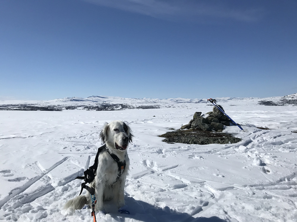 Vetafjellet