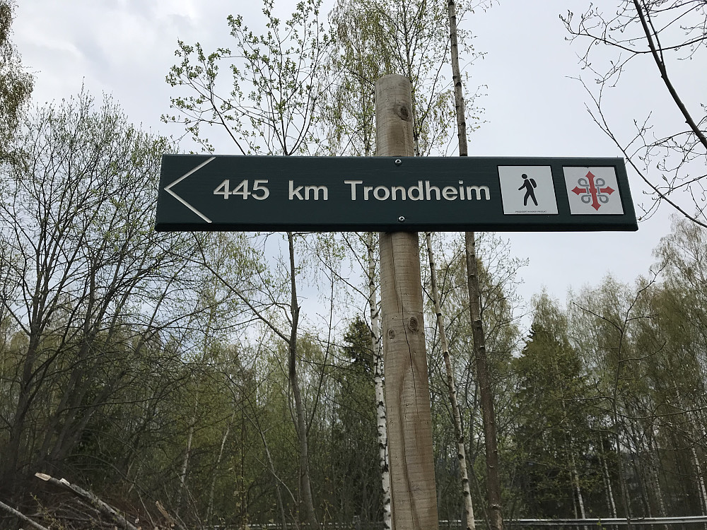 Fulgte Pilgrimsleden oppover