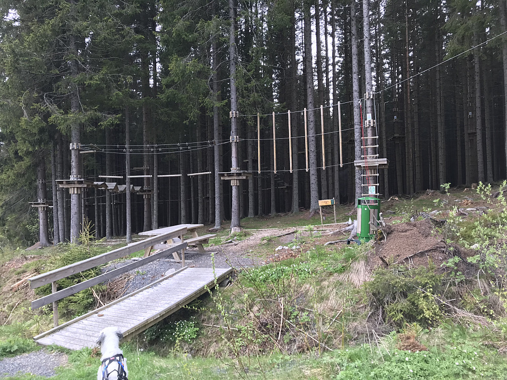 Nedover langs klatreparken