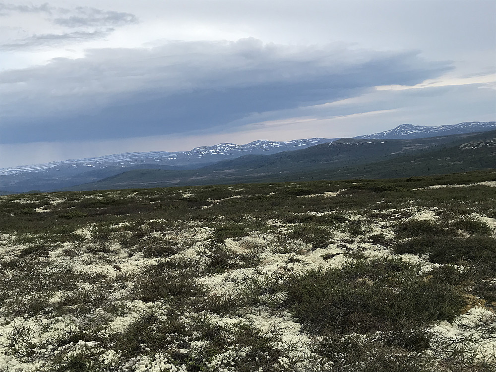 Vetafjellet