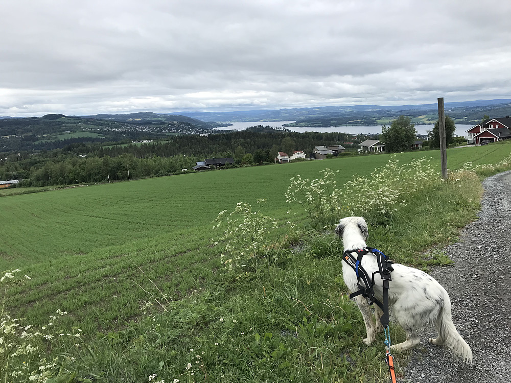 Ved Dalborgen