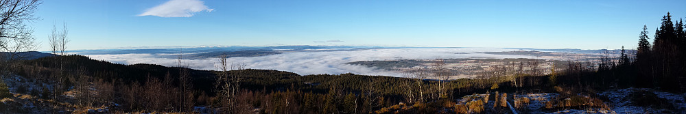 Utsikt fra Lamannshaugen