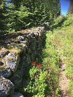 torile_20200704_5f00d33453c72.jpg