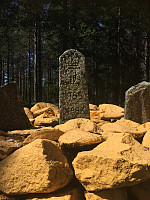 torile_20200704_5f00d335be8ae.jpg