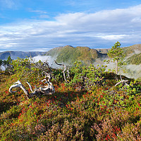 Toppen av Gråknubben med utsikt mot Sæterheia.