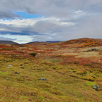 Innerst i Nekkjådalen ved Skortjønnen.
Hundåskarvan til venstre. Hermolia og Fordalen midt i bildet.