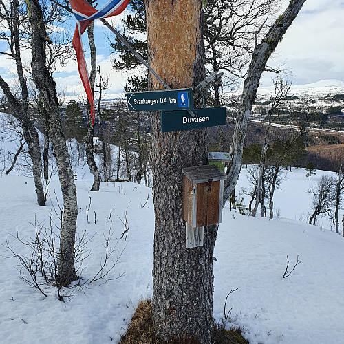 Trimkasse nesten på toppen.