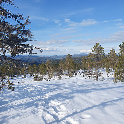 Ånøya og Vassfjellet i det fjerne.