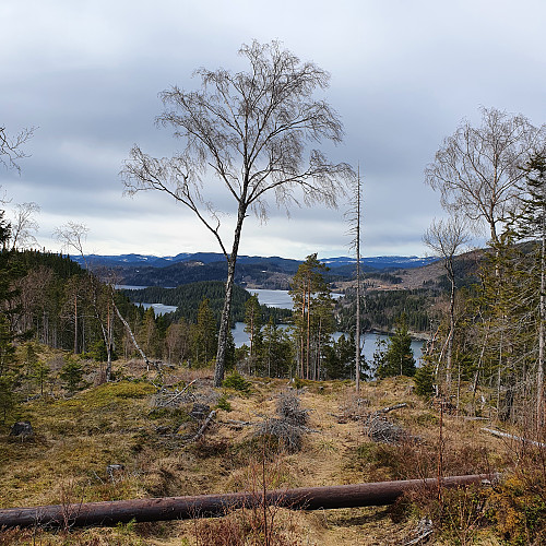 Loåsen mot Benna.