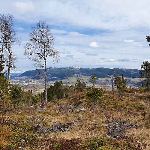fin utsikt mot Vassfjellet.