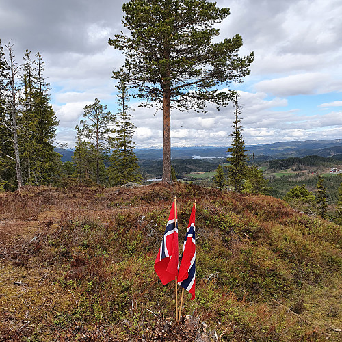 Utsikt over Svorksjøen.