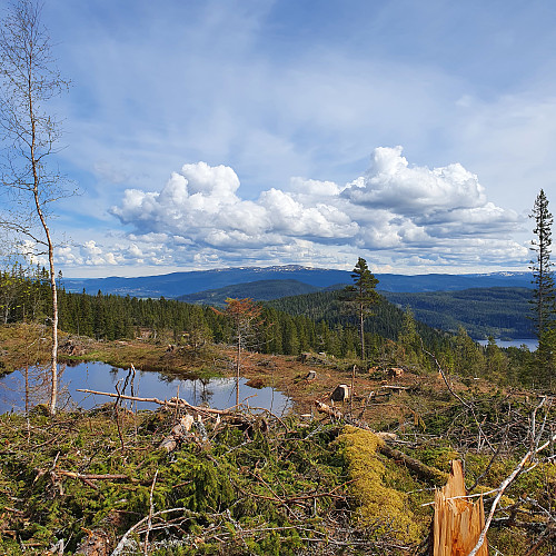Mot Vassfjellet