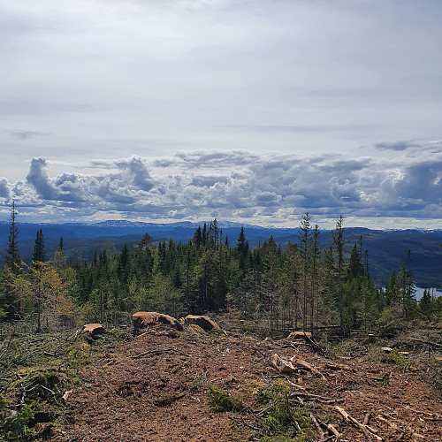 Mot Irfjellet i sør.