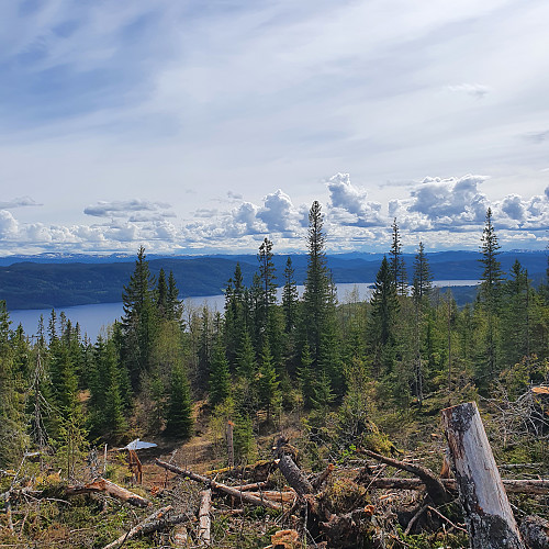 Ånøya