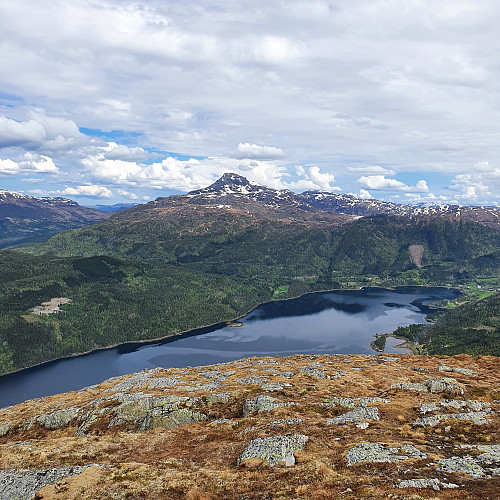 Hjelmen
