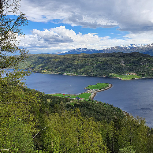 Bæverfjorden