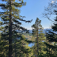 Gabrielsen68_20210528_60b083f00f3e0.jpg