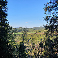 Gabrielsen68_20210528_60b083f2c2720.jpg