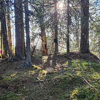 Gabrielsen68_20210528_60b083f78f7c0.jpg
