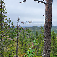 Gabrielsen68_20210619_60ce02e23891b.jpg