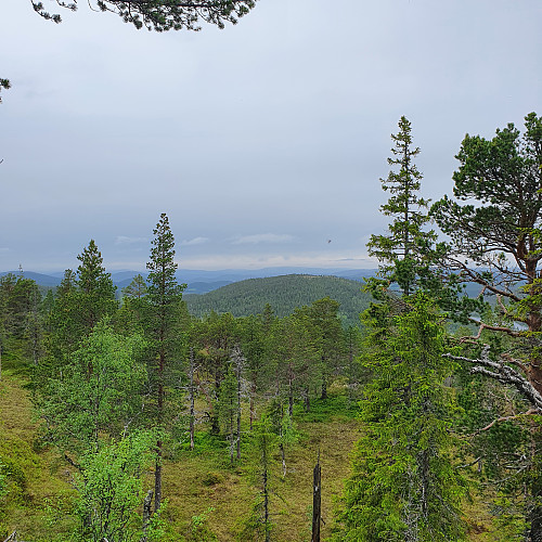 Fra Gevåsen mot Brannsåsåsen