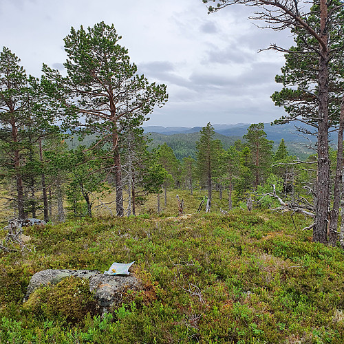 Brannsåsåsen