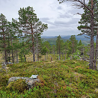 Gabrielsen68_20210619_60ce02ef75e5d.jpg
