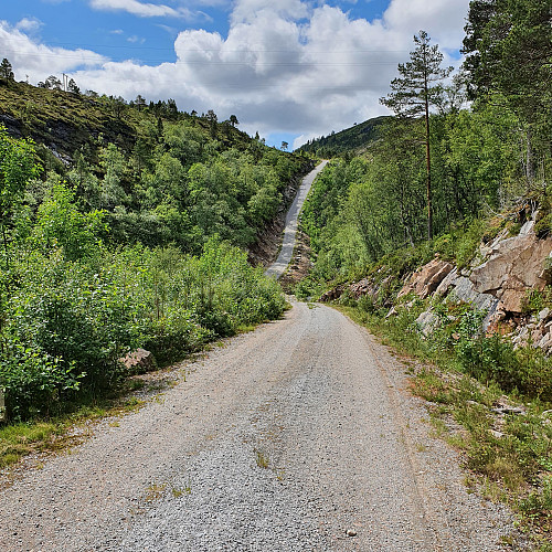 Fin grusvei opp til 283 moh.