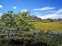 Cezzn_20180725_5b586450c6127.jpg