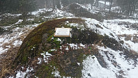 tommy_20170306_58bdde336ac38.jpg