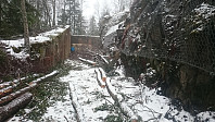 tommy_20170306_58bdde4065fd6.jpg