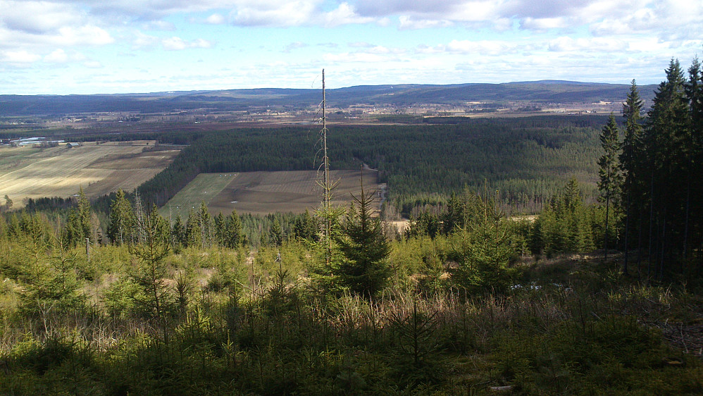 Bilde fra Rønnesberget.