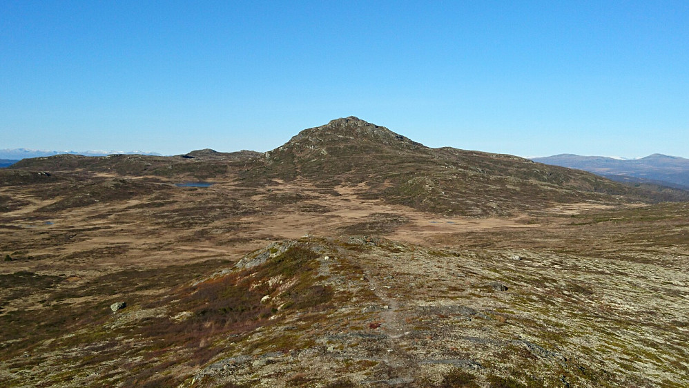Djuptjernskampen