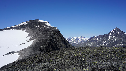 Kvitskardstinden