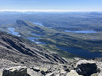 paalvic_20200815_5f38221a31e79.jpg