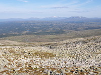 przyboro_20200826_5f46284679a3f.jpg